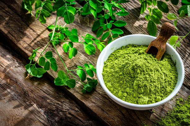 Moringa farm field