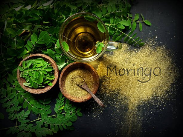 Moringa farming in India